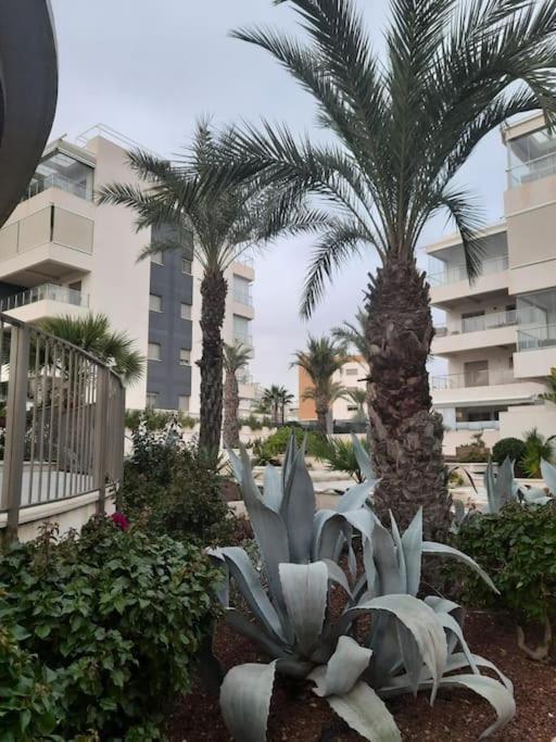 Appartement Hills La Zenia 3 New Beautifull Open First Season Alicante